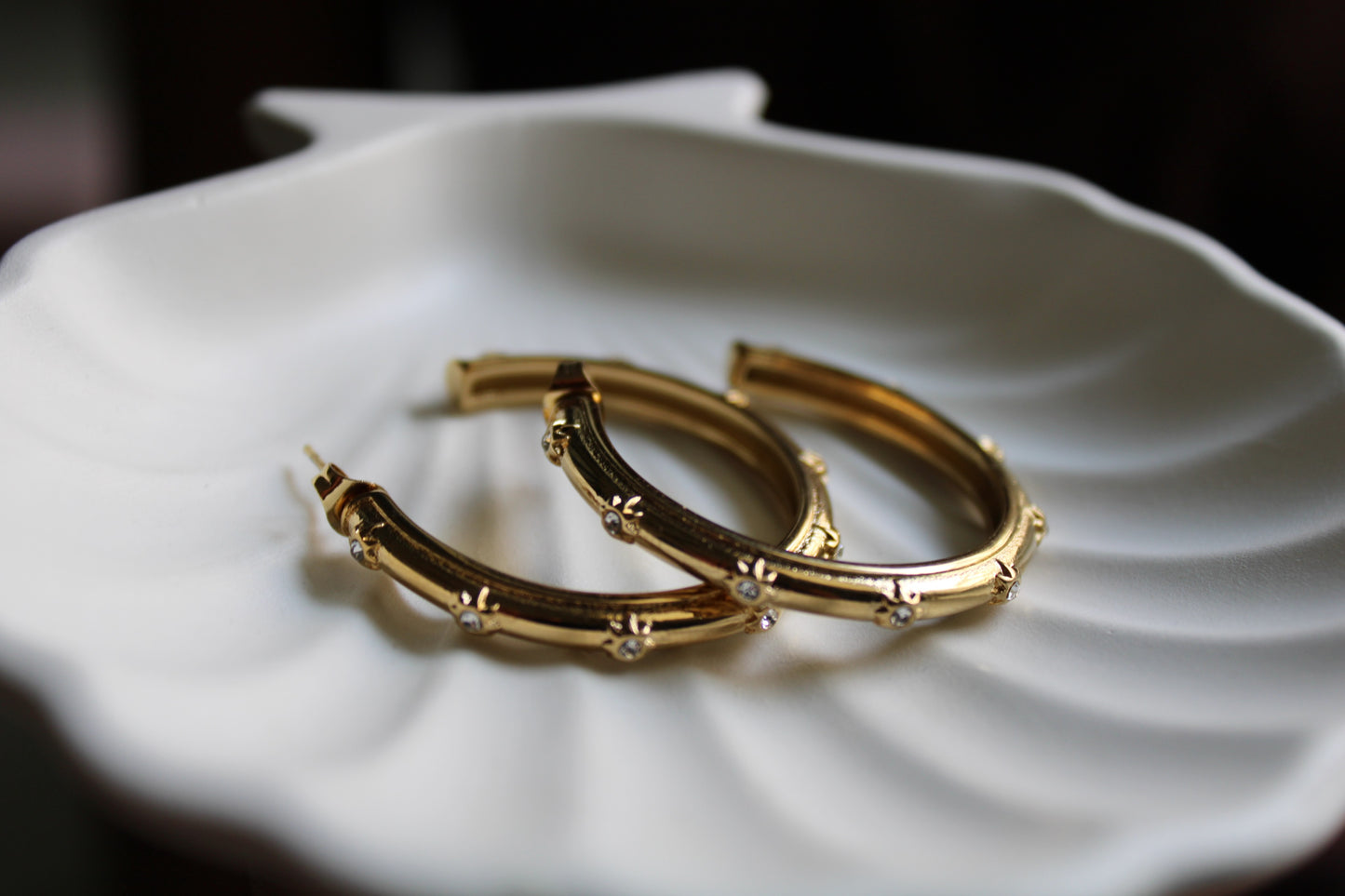Twilight Stainless Steel Hoops