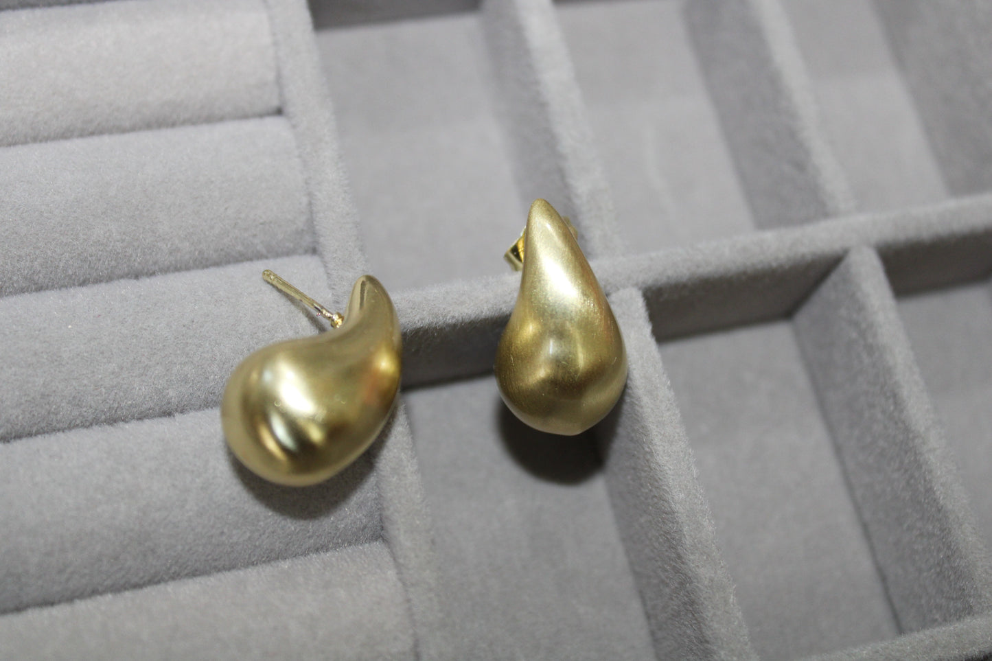 Bottega Stainless Steel Earrings