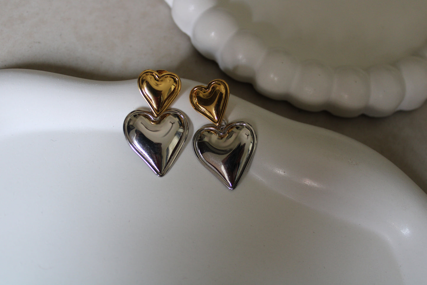 Gilver Stainless Steel Earrings