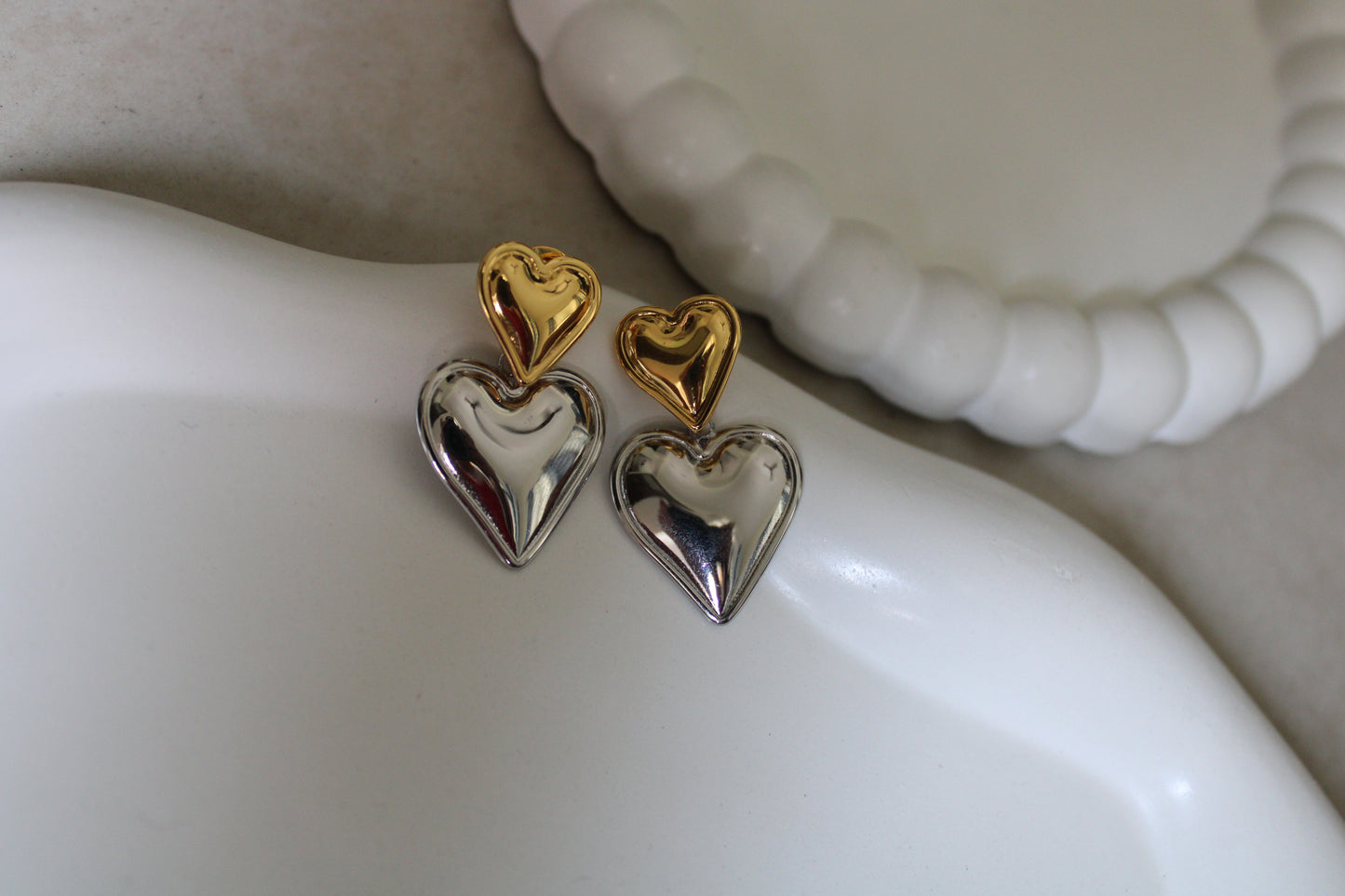 Gilver Stainless Steel Earrings