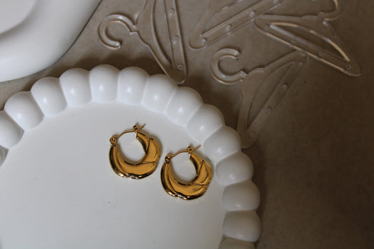 Lyra Stainless Steel Hoops