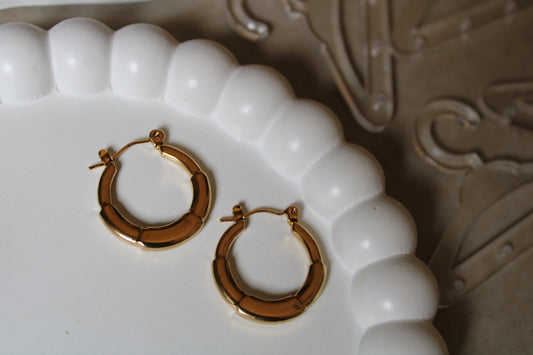 Zemina Stainless Steel Hoops