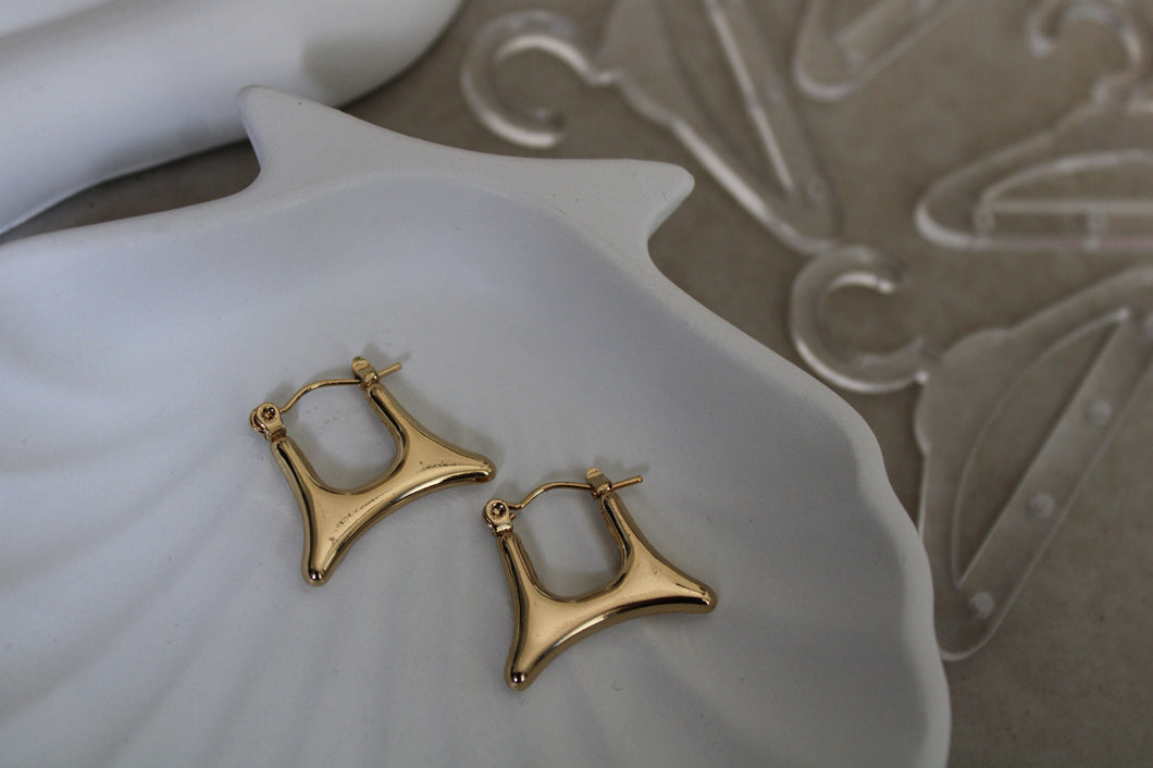 Noa Stainless Steel Hoops