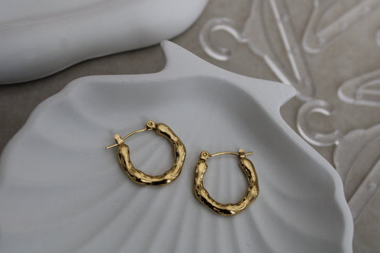 Sana Stainless Steel Hoops