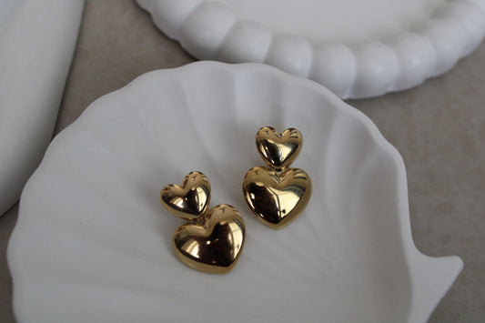 Dual Affection Stainless Steel Earrings