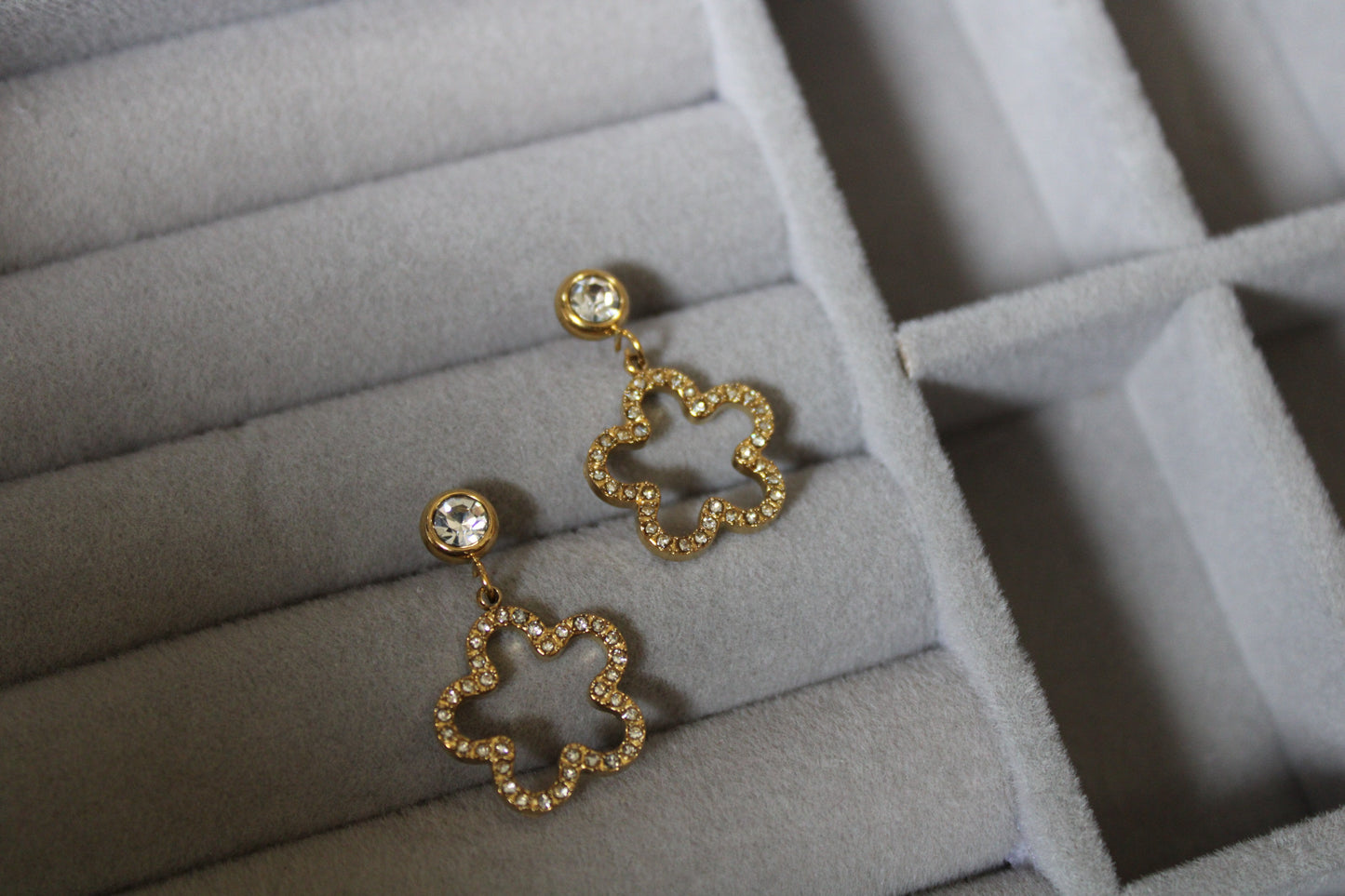 Cleo Stainless Steel Earrings