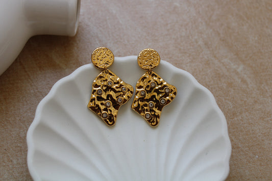 Fluxa Stainless Steel Earrings