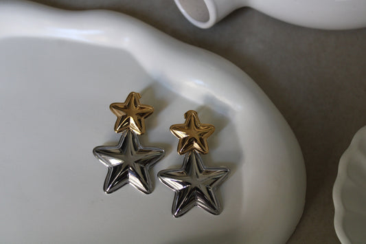 Gilver Star Stainless Steel Earrings