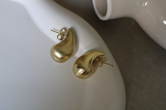 Bottega Stainless Steel Earrings