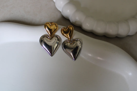 Gilver Stainless Steel Earrings