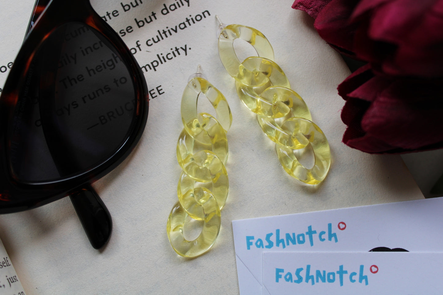 Transparent Link Earrings